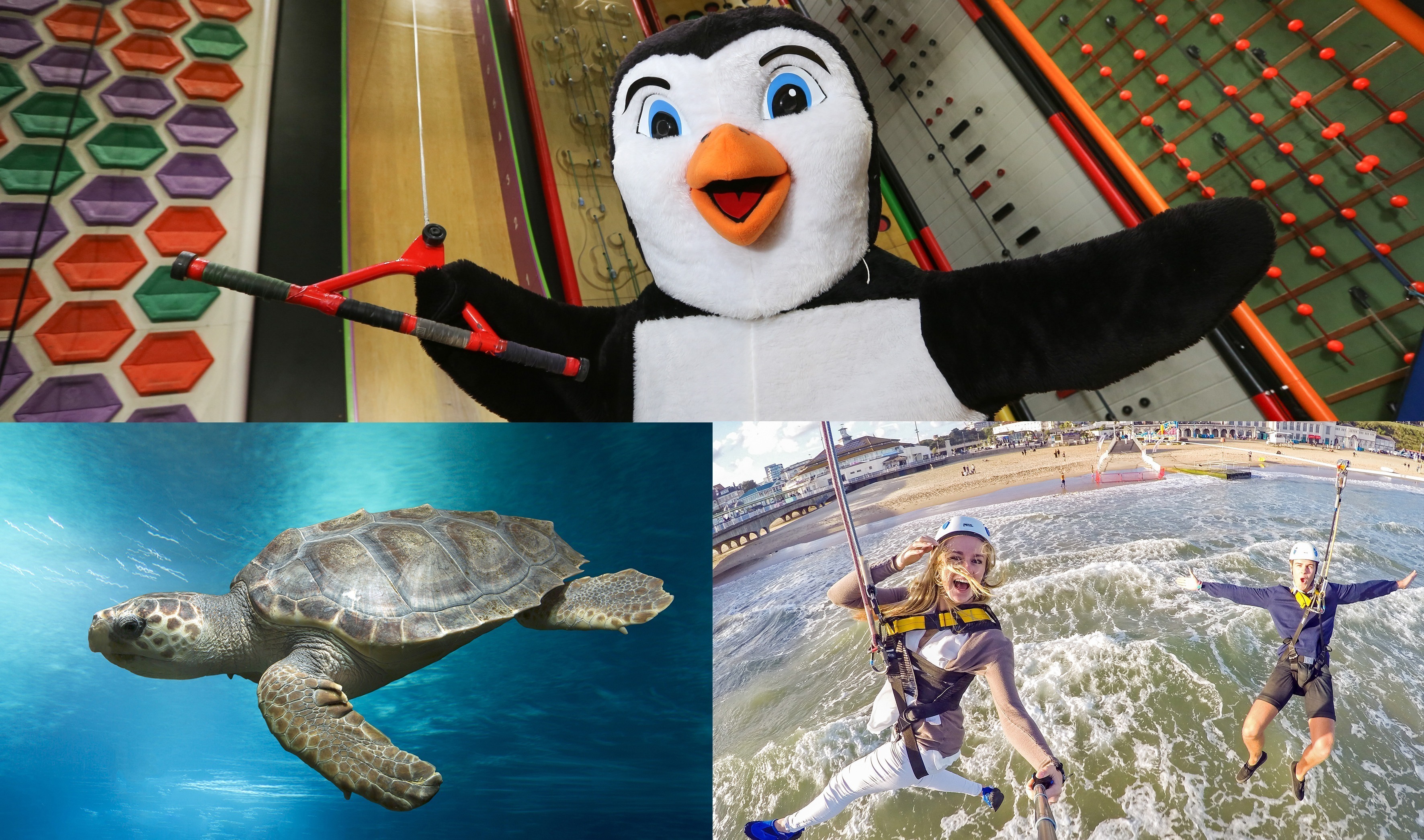 RockReef and Oceanarium, the Bournemouth Aquarium join forces to offer discounted tickets