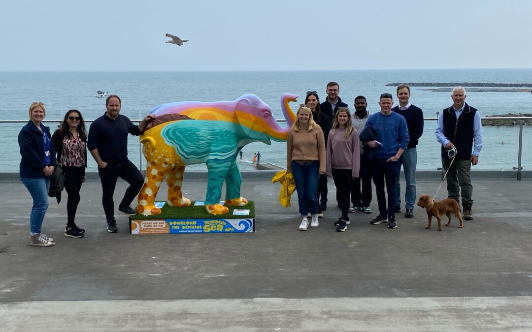 Saffery Team Joins the Herd at ‘Stampede by the Sea’ Art Trail