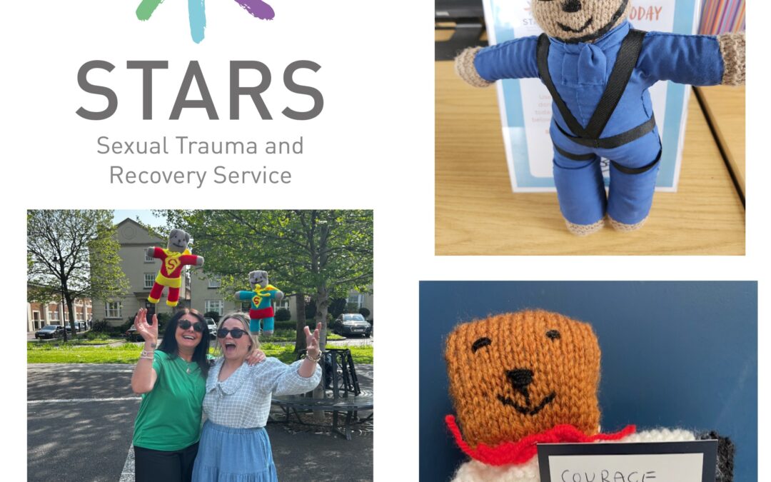Taking the Leap for STARS Dorset – Tandem Sky Dive with Courage the Trauma Teddy!