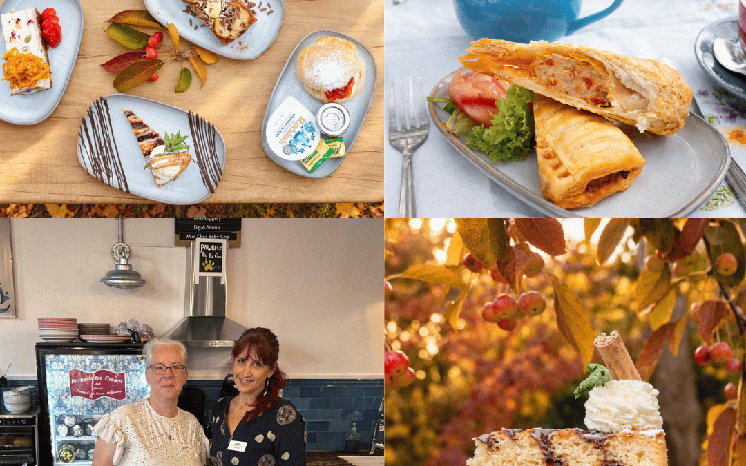Colin’s Nest at Eagles Mount Care Home Invites Local Groups and Businesses to Get Involved